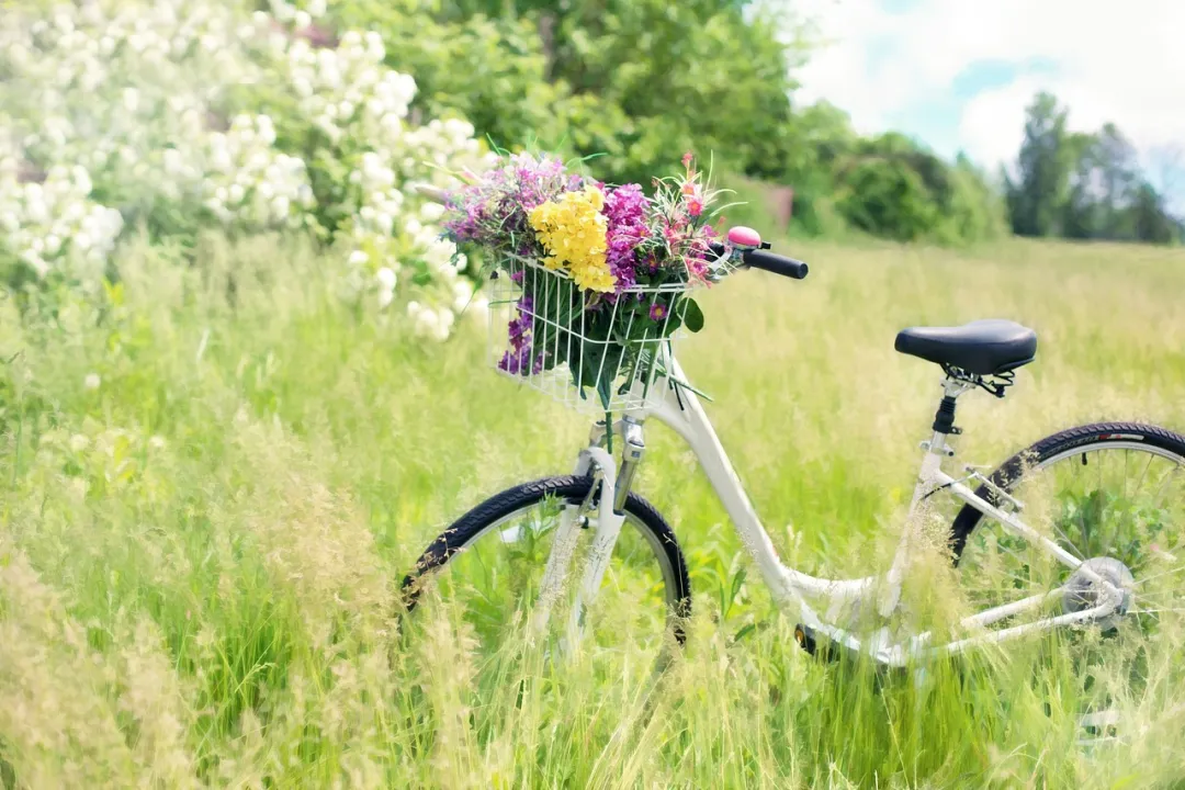 flower and bike