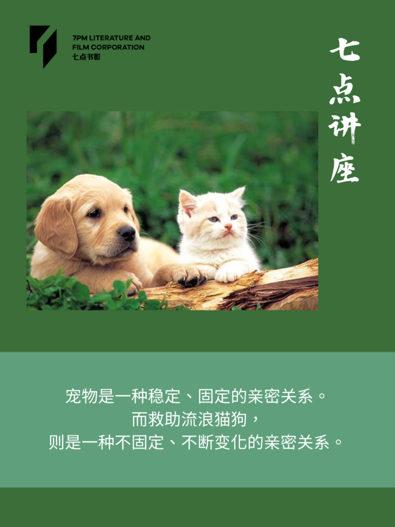 宠物与流浪动物与人的关系区别