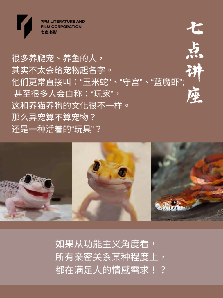 异宠也是宠物的一种