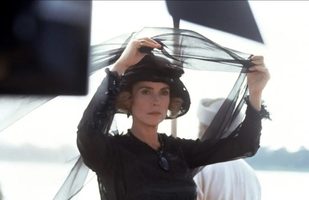 《印度支那》，《情证今生》，法国电影