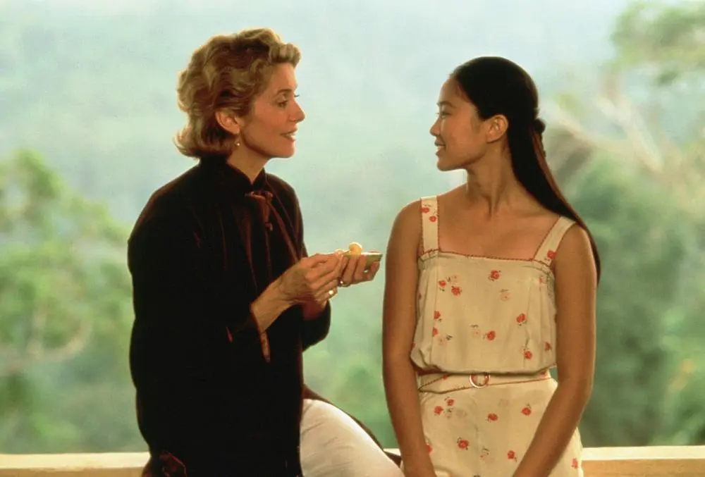 《印度支那》，《情证今生》，法国电影