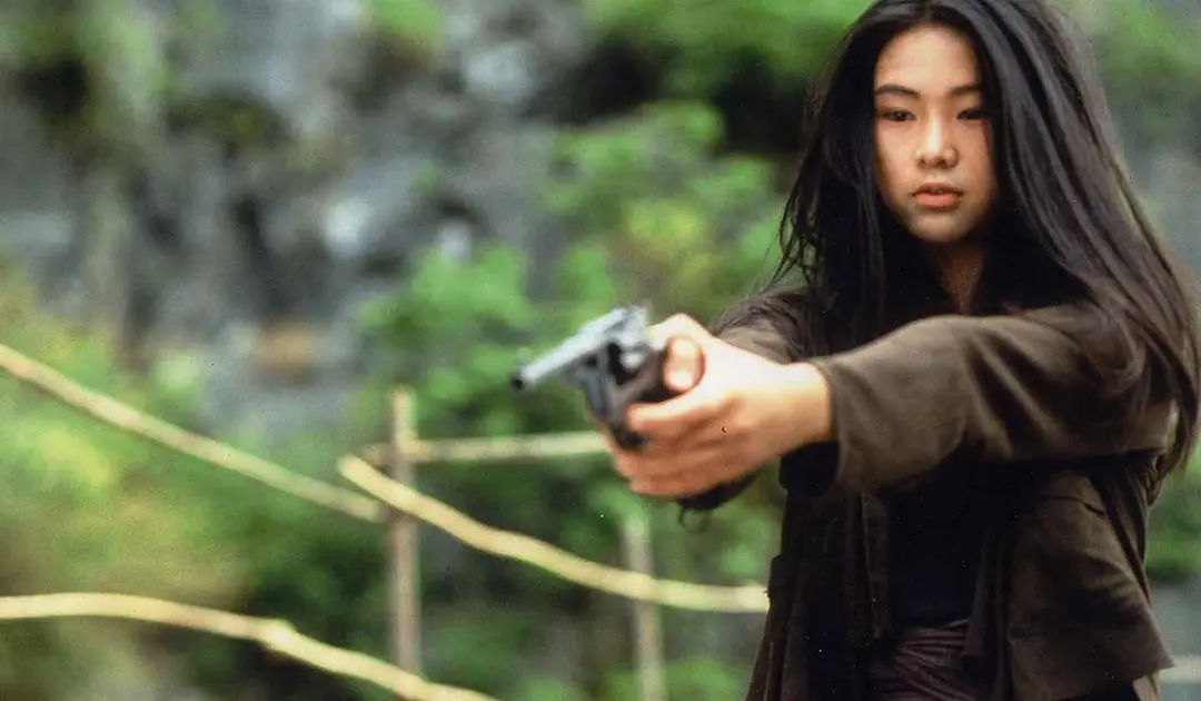 《印度支那》，《情证今生》，法国电影