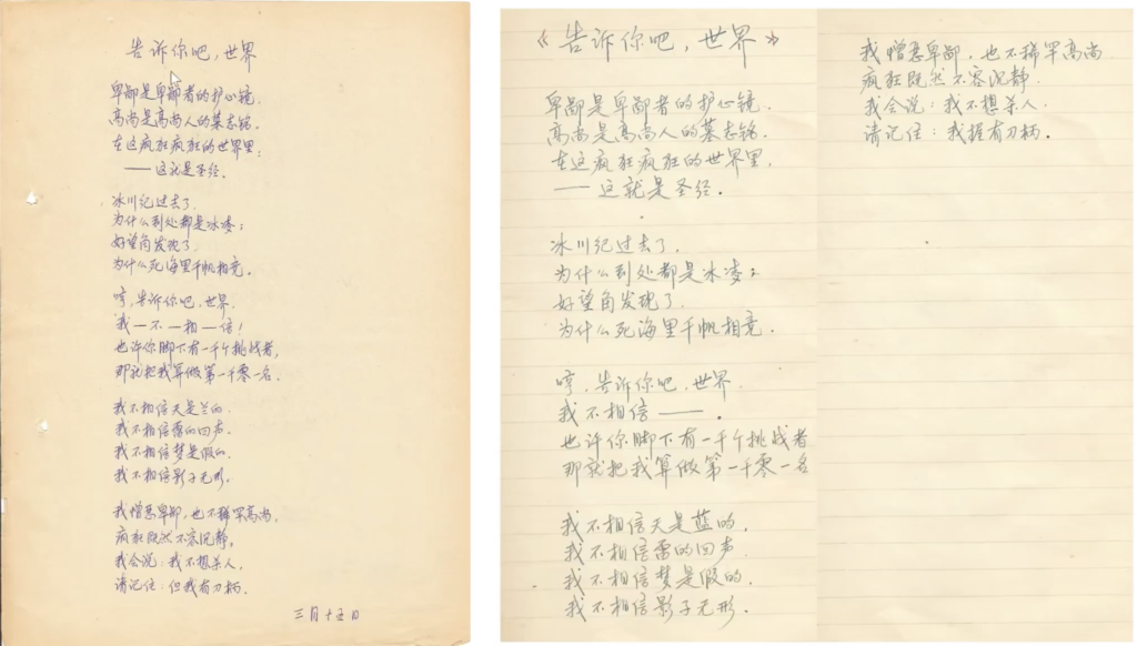 《告诉你吧，世界》手稿